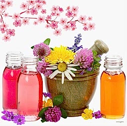 Kategori resimi Soya Mumu Soya Wax Koku Esansları 50 cc