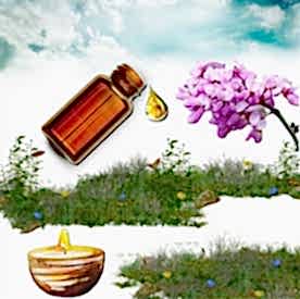 Resim Erguvan  Mum Koku Esansı 50 cc