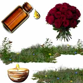 Resim Gül  Mum Koku Esansı 50 cc