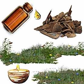 Resim Oud Wood (Ud Ağacı) Mum Koku Esansı 50 cc