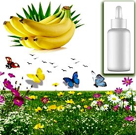 Resim Muz Sabun Koku Esansı 10 cc