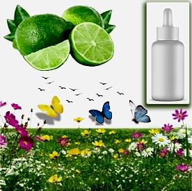 Resim Yeşil Limon Sabun Koku Esansı 10 cc