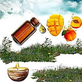 Resim Mango&Şeftali Mum Koku Esansı 50 cc