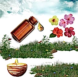 Kategori resimi Soya Mumu Soya Wax Koku Esansları 30 cc