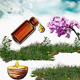 Resim Erguvan Mum  Koku Esansı 30 cc