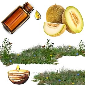 Resim Kavun Mum Koku Esansı 30 cc