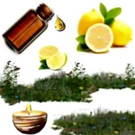 Resim Limon Mum Koku Esansı 30 cc