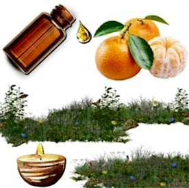 Resim Mandalina Mum Koku Esansı 30 cc