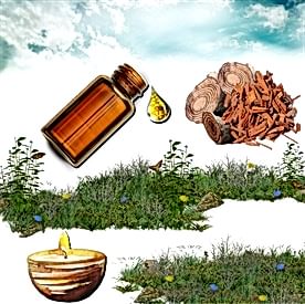 Resim Sandal Ağacı Mum Koku Esansı 30 cc