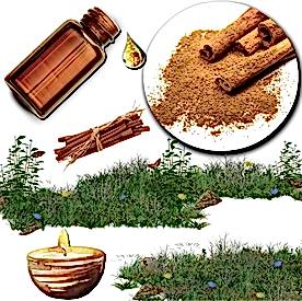 Resim Tarçınlı Vanilya Mum Koku Esansı 30 cc