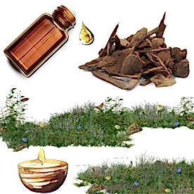 Resim Oud Wood (Ud Ağacı) Mum Koku Esansı 30 CC