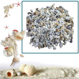 Kategori resimi Deniz Kabukları ''30-50 gr''