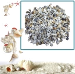 Kategori resimi Deniz Kabukları ''30-50 gr''
