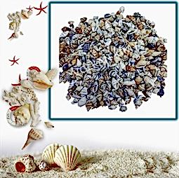 Kategori resimi Deniz Kabukları ''30-50 gr''