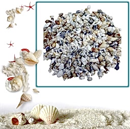 Kategori resimi Deniz Kabukları ''30-50 gr''