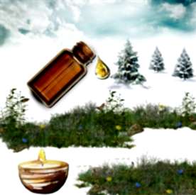 Resim Egzotik Çiçek Mum Koku Esansı 50 cc
