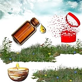 Resim Ameliamor Mum Koku Esansı 50 cc 