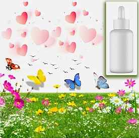 Resim Ameliamor Mum Koku Esansı 30 cc 